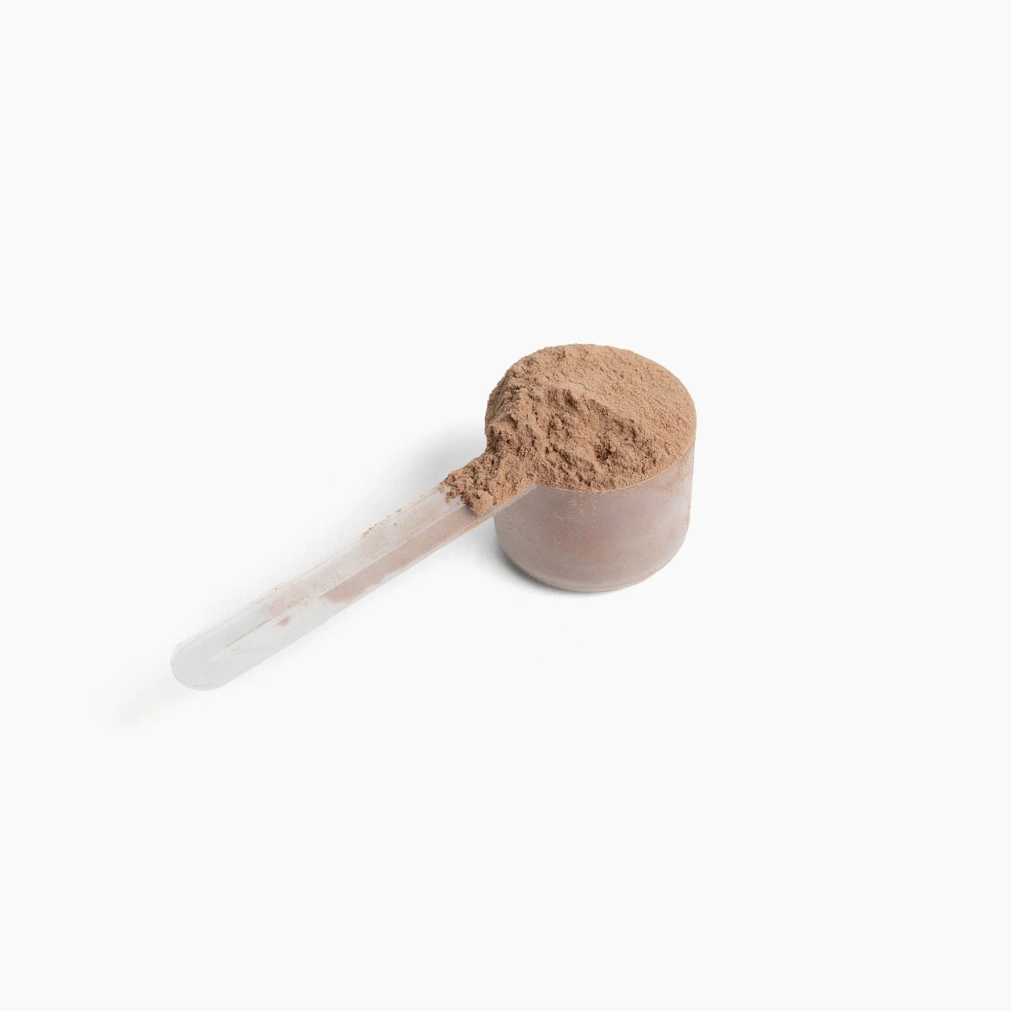 10X Plant Protein - Image 8